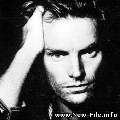 Sting - Fields Of Gold