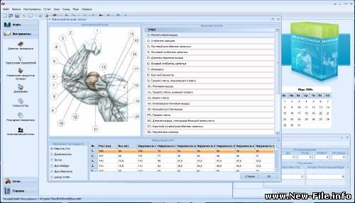 Качай мышцы грамотно