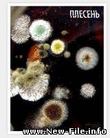 Плесень  СКАЧАТЬ БЕСПЛАТНО !!! Документальный фильм, 2008. HD КАЧЕСТВО!!!