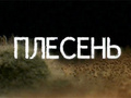 Плесень  СКАЧАТЬ БЕСПЛАТНО !!! Документальный фильм, 2008. HD КАЧЕСТВО!!!