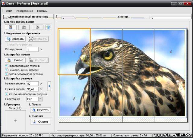 ProPoster 2.02.12 RUS