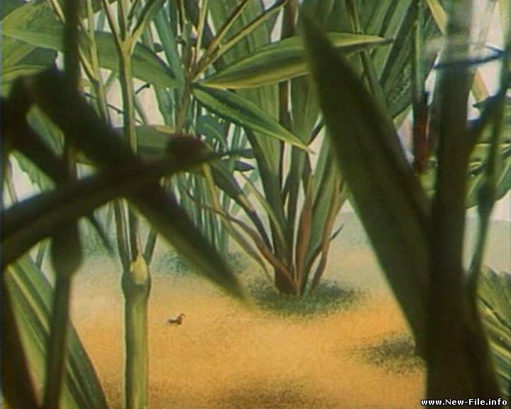 Путешествие муравья