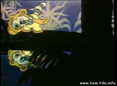 Крошка енот