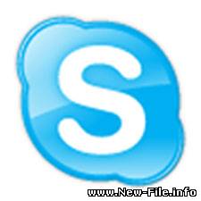 Skype 4.0.0.161 (NEW)