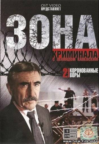 Зона криминала - Коронованные воры 2 (1-9 из 9) (2008) DVDRip