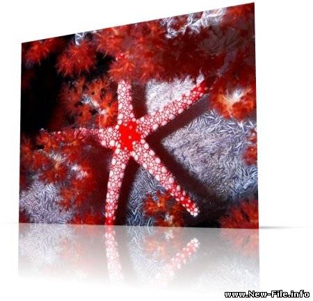 "Обитатели морских глубин" HQ