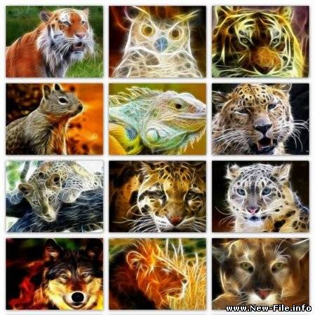 Surprising Wallpapers.