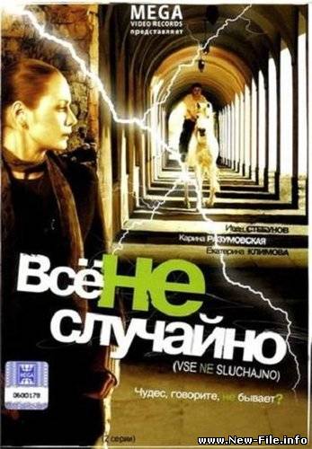 Все не случайно (За одно движение) (2009) DVDRip