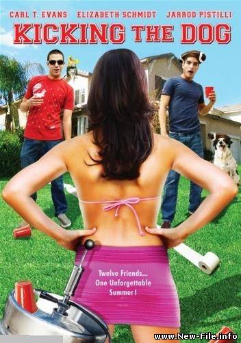 Лето наших надежд / Kicking the Dog (2009) DVDScr