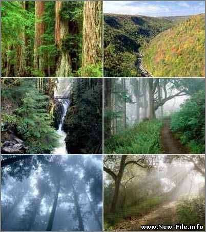 Wallpapers Nature Scenes - Отличные обои на рабочий стол