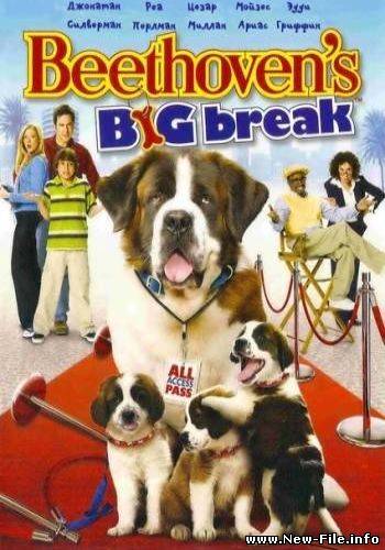 Скачать Большой прорыв Бетховена /Beethoven's Big Break (2008) DVDRip