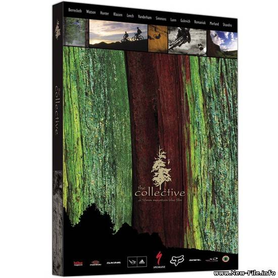 The Collective (2004)