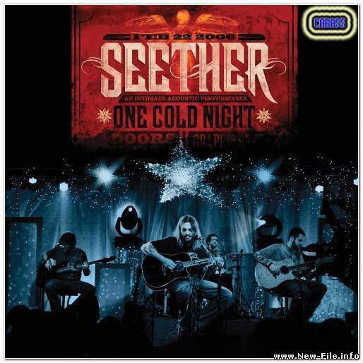 Seether - One Cold Night