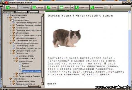 Мультимедийная энциклопедия кошек (2009)