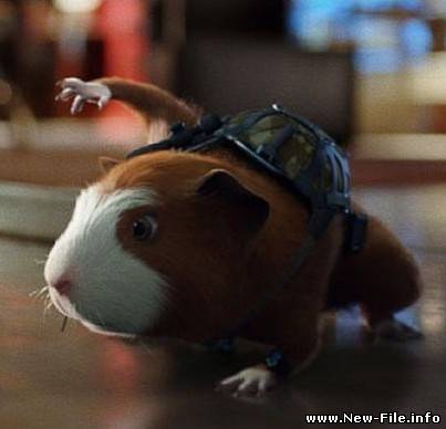 Ne izvesten - Кроты И Хомяки