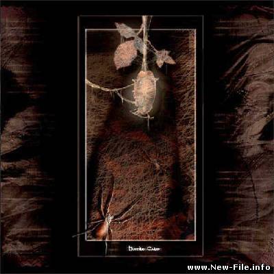 Hostile Calm - Hostile Calm