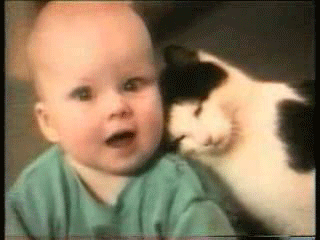 Приколы с кошками (подборка)