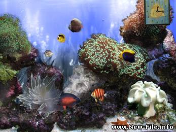 Обои на рабочий стол: Риф Актиний -Анимированные обои из категории Живой 3D Аквариум