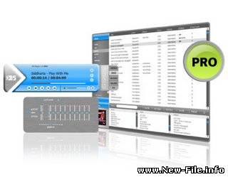 BSPlayer Pro 2.24 Rus - профессиональный мультимедийный плеер.