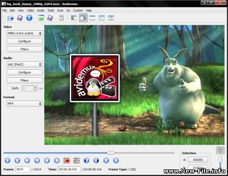 Avidemux 2.5.0 r4944 Final + 2.5.0 beta r5010 - можно устранить многие погрешности изображения, например, удалить ненужный отрезок фильма...
