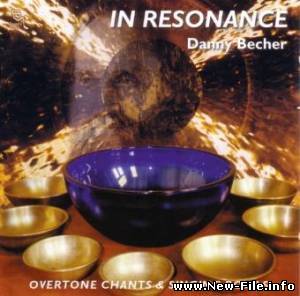 Danny Becher - In Resonance (2009) FLAC