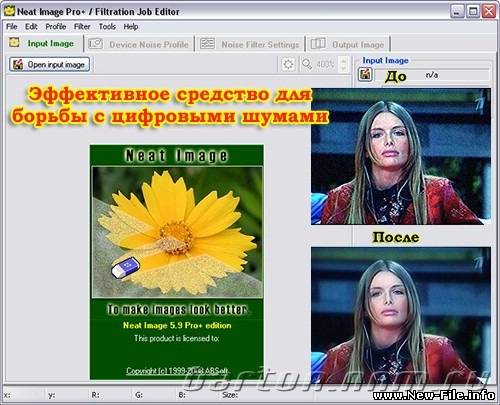 Neat Image Pro Plus v5.2 - программа для удаления шумов с цифровых фотографий.