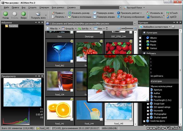 ACDSee Photo Manager v 2.0.219 Rus - программа для просмотра и организации цифровых фотографий.