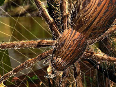 Empire of the Ants Империя муравьев (2000RUS)