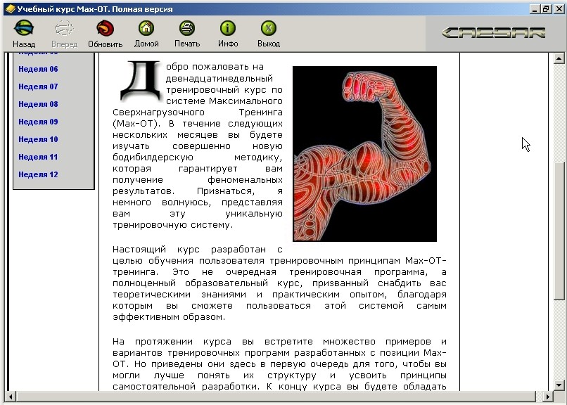 MAX-OT это совершенно новый треннировочный курс по наращиванию мышечной массы