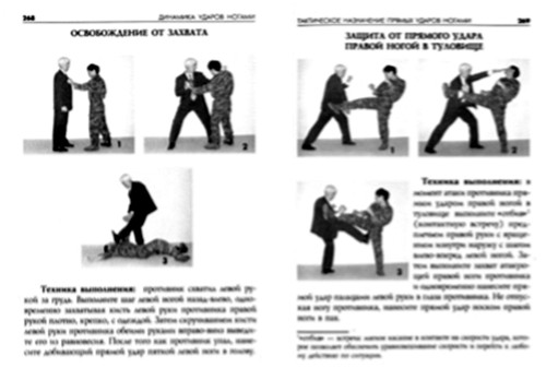 ДИНАМИКА УДАРОВ НОГАМИ. А. А. Кадочников