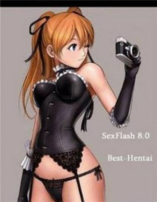 XXX флэш игры на PC