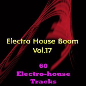 Electro House Boom Vol.17 (2009)