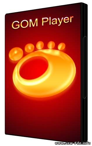 GOM Player 2.1.20.4830