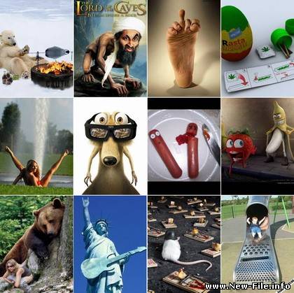 Прикольные картинки для вашего телефона