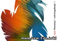 Adobe Photoshop CS 8.0 + image ready rus/eng versions