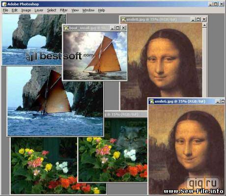 Плагин AKVIS Chameleon v.6.0 для Photoshop