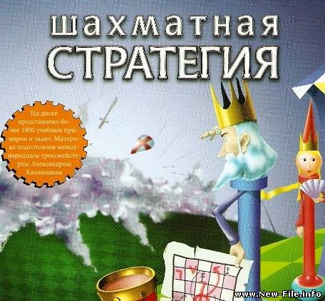 Шахматная стратегия