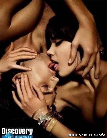 Искусство поцелуев (2009) SATRip