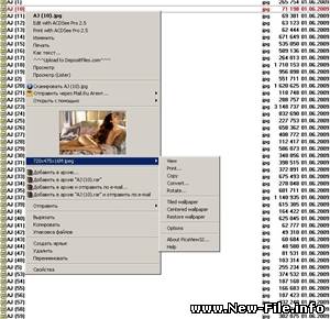 Pica View32 ver 1.3(мини ACDSee)