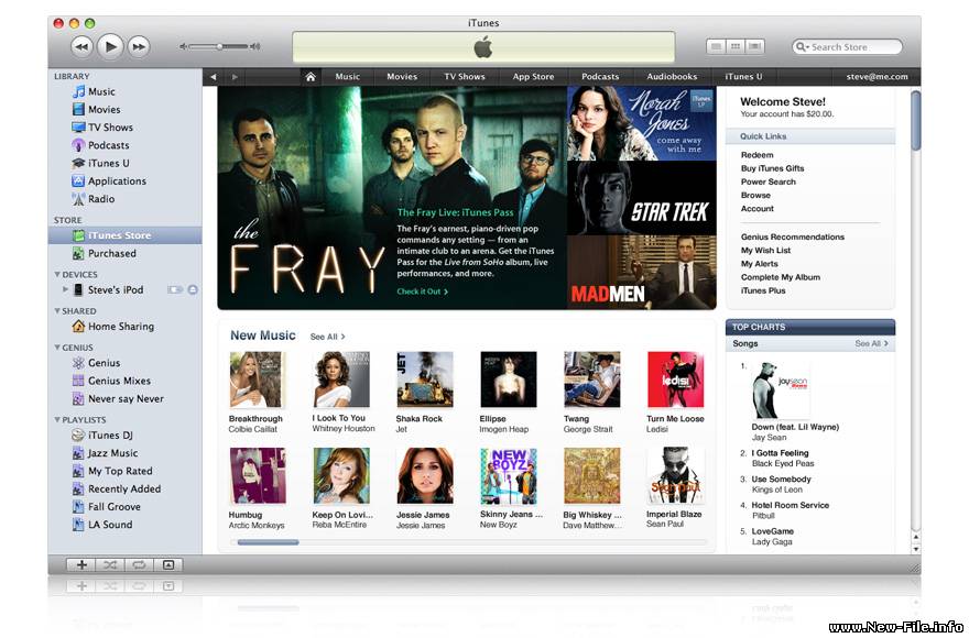 Apple iTunes 9.0.2 windows