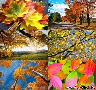 Золотая осень обои