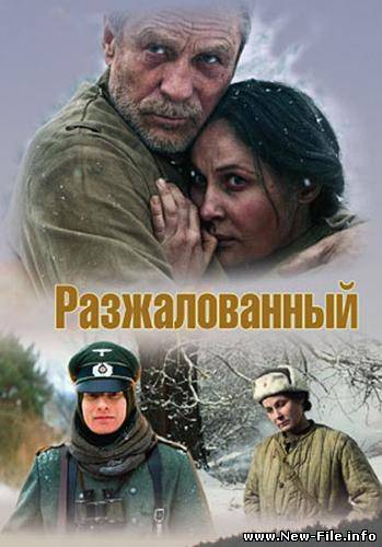 Разжалованный (2009) 1400 DVDRip rus