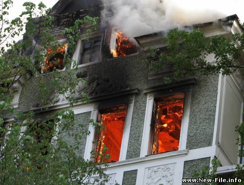 Три уморительных видео ролика: «Art_war», «День рождения», «Не везучий день»