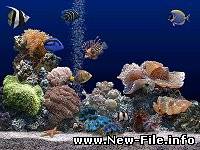 Заставка "Аквариум"