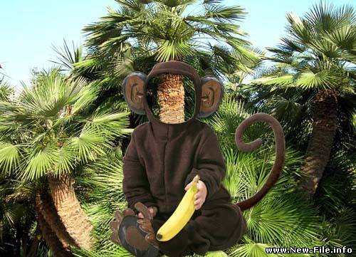 Шаблон для фотошопа- Обезьянка