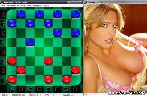Strip shashki v.6.2.32 [2010 RUS]
