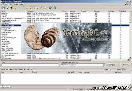 StrongDC++ 2.30