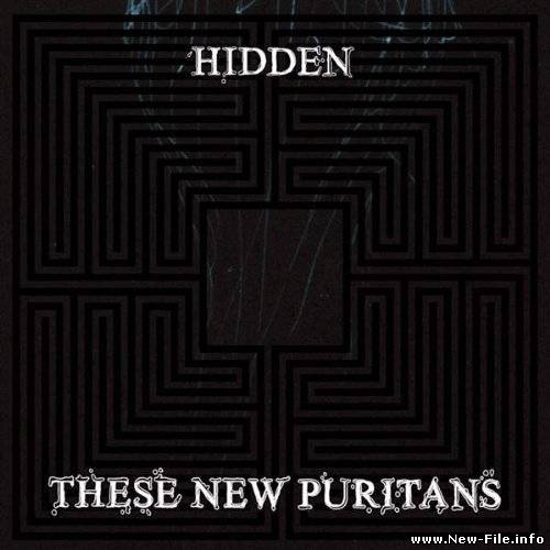 These New Puritans 2010 Hidden