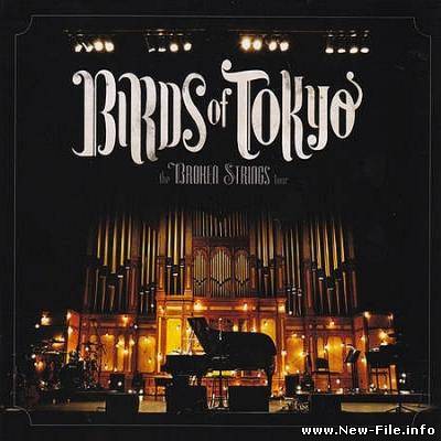Birds of Tokyo - The Broken Strings Tour (2010)