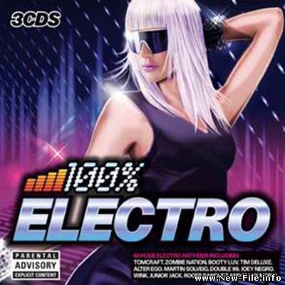 100 Percent Electro (2010)